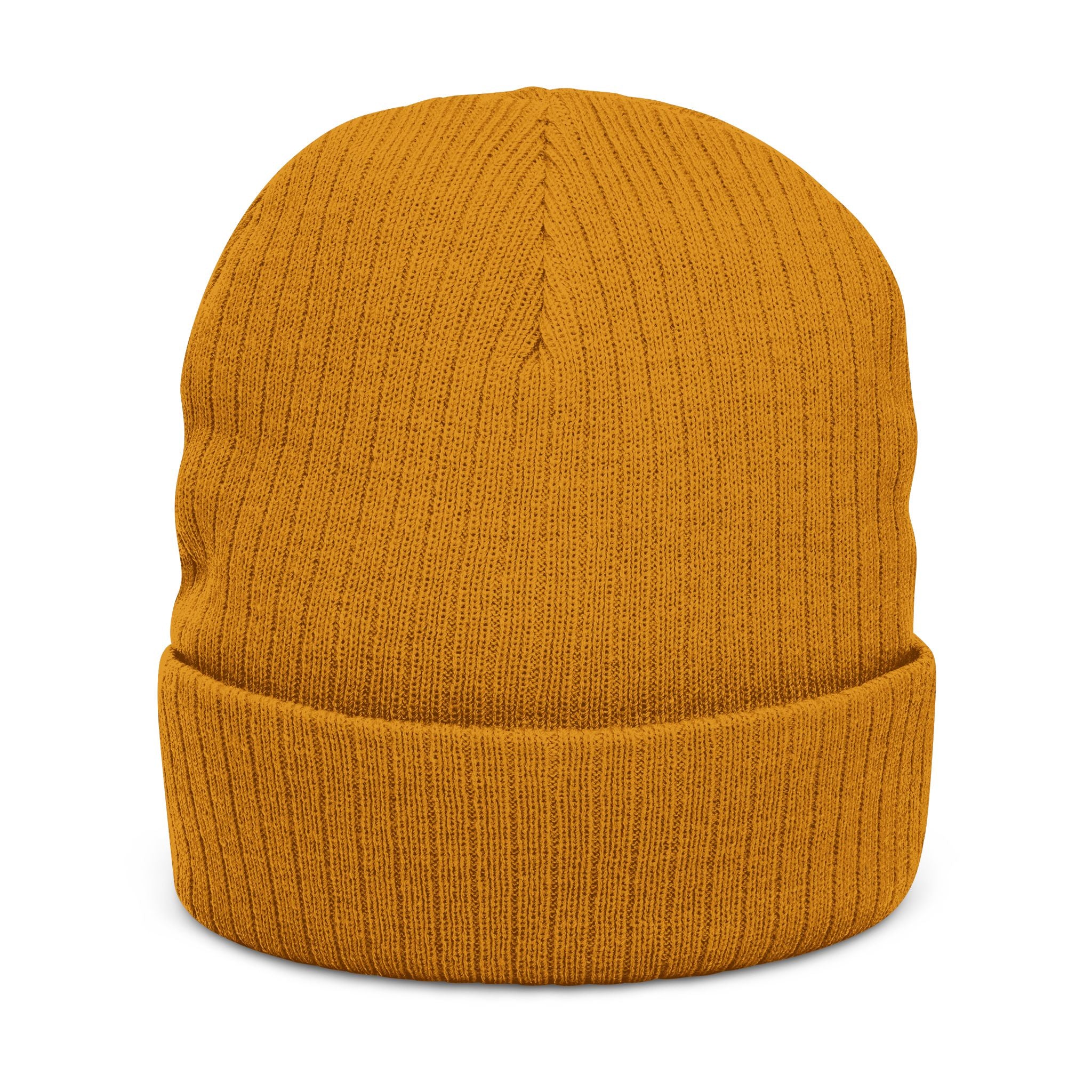 Carpe Diem Beanie