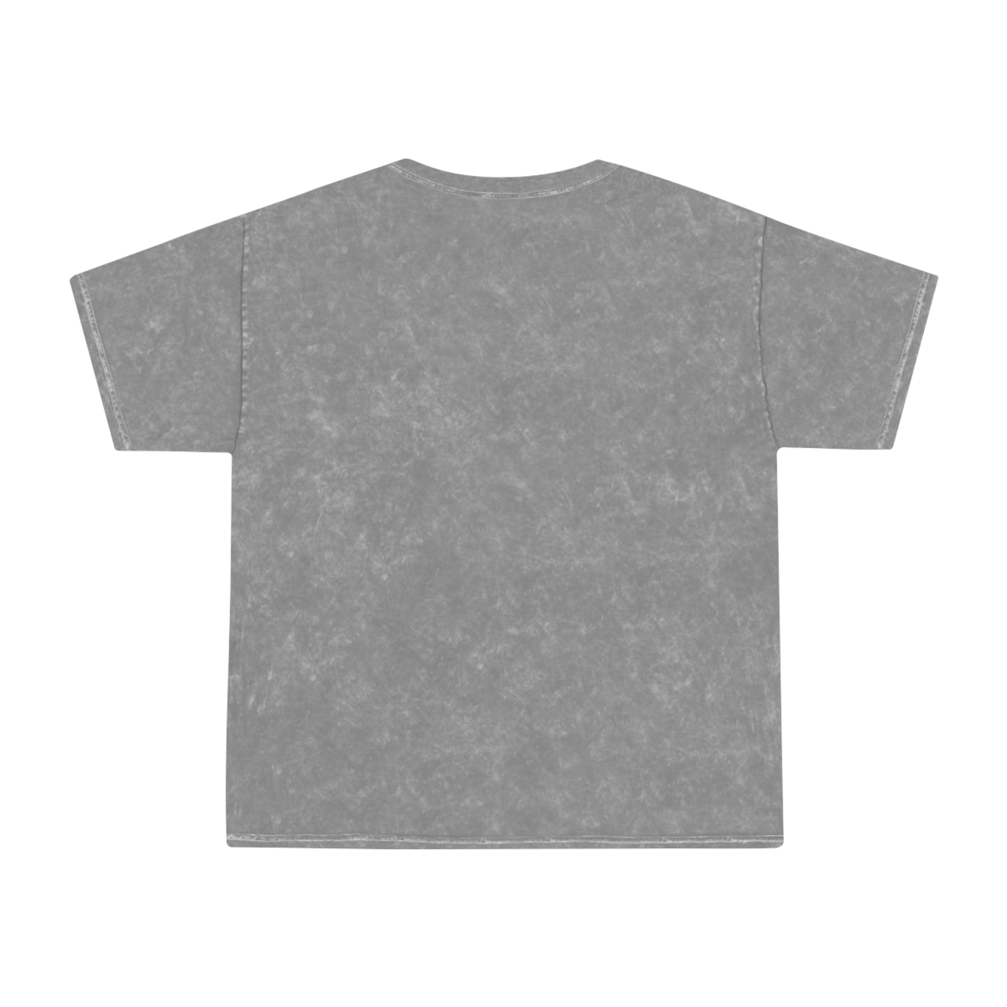 Tiny Dice House Retro Mineral Wash T-Shirt
