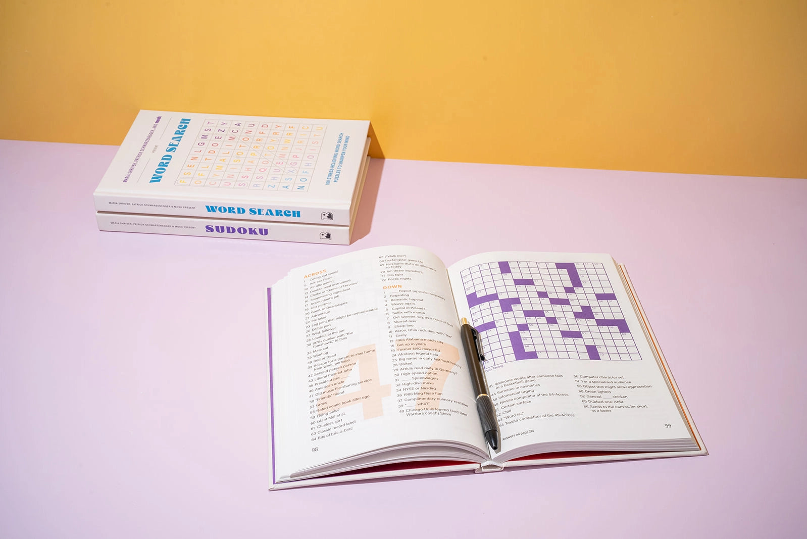 Crossword Puzzle Book - Paperback (100 Puzzles)