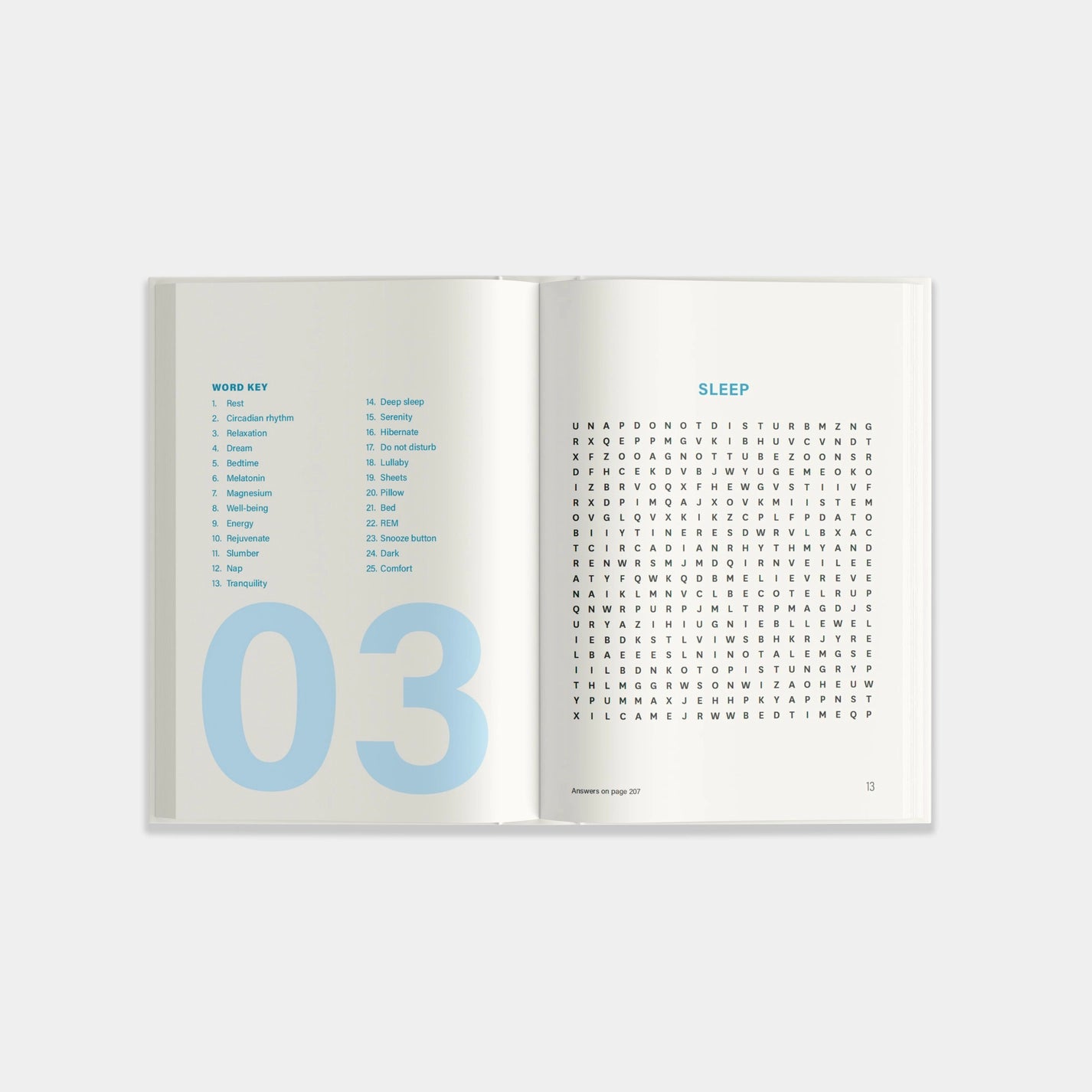 Word Search Puzzle Book - Hardcover (100 Puzzles)