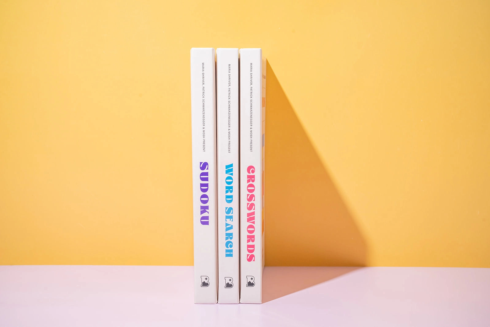 Word Search Puzzle Book - Hardcover (100 Puzzles)