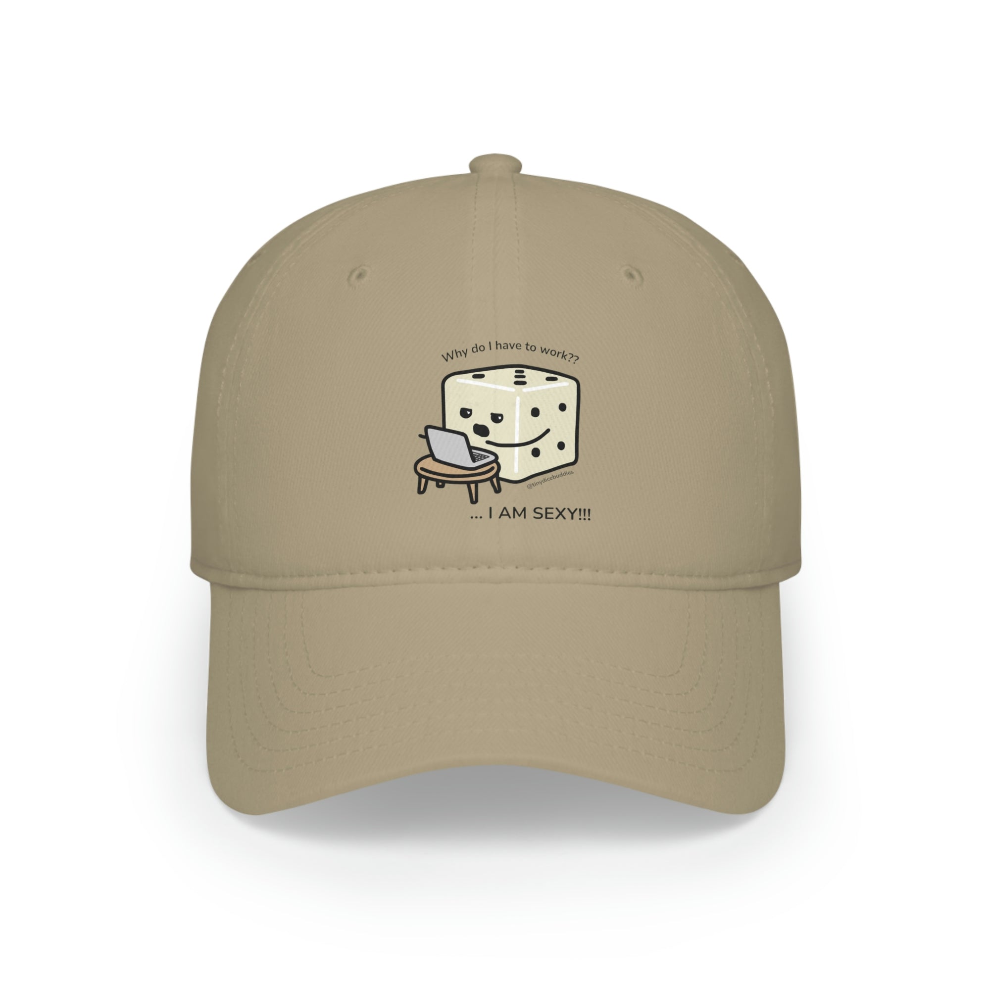 Why Do I Have to Work? Hat | Tiny Dice Buddies | Low Profile Baseball Cap