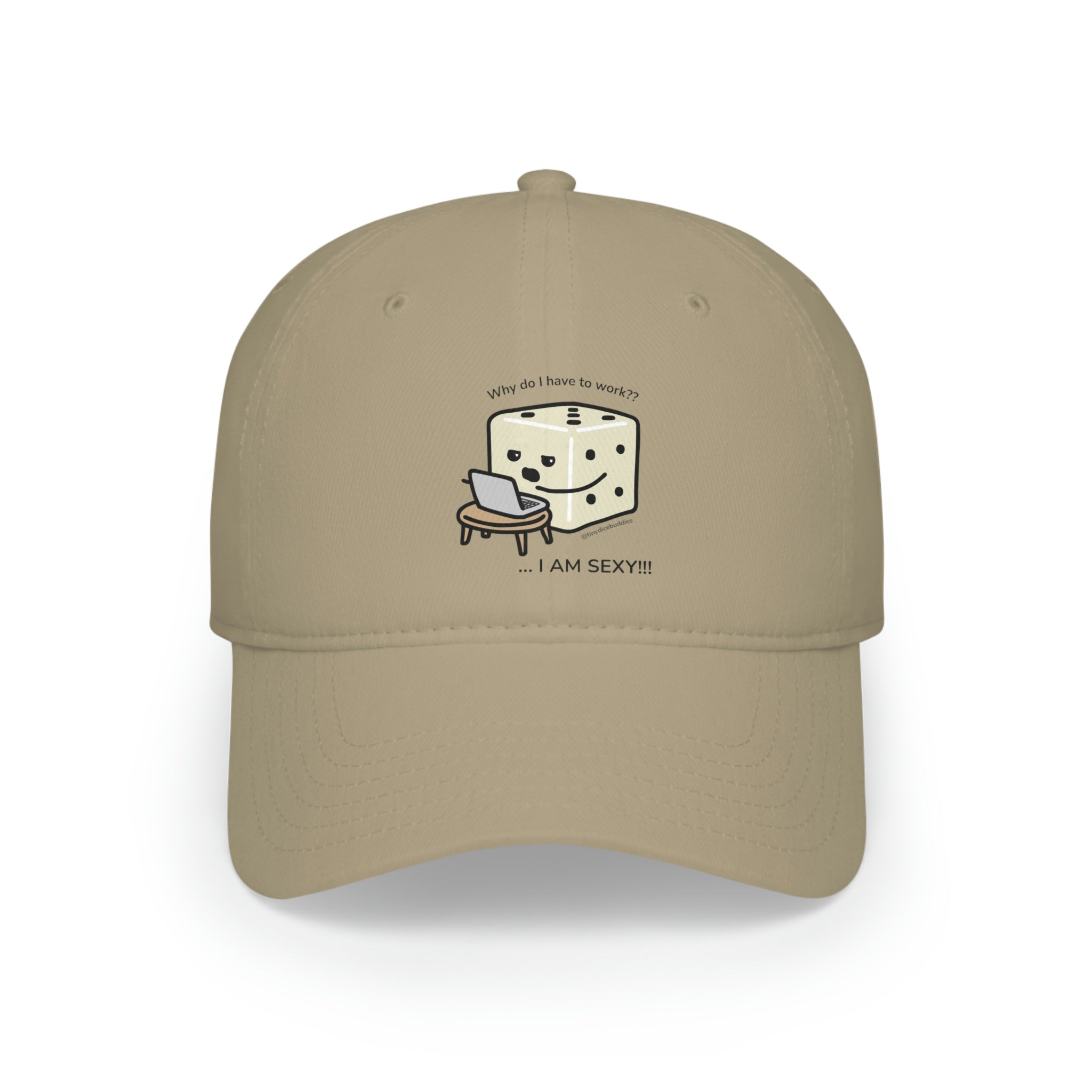 Why Do I Have to Work? Hat | Tiny Dice Buddies | Low Profile Baseball Cap